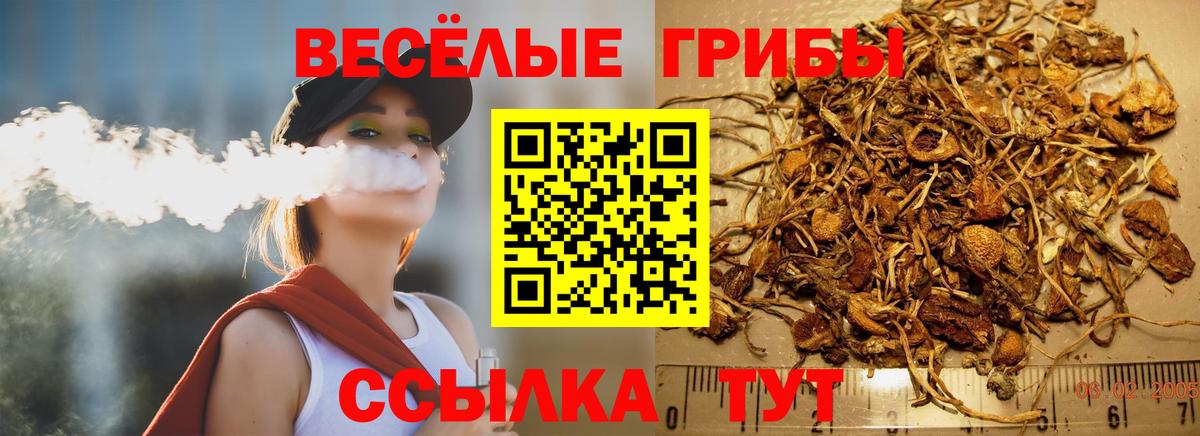 Галлюциногенные грибы Cubensis  Вход с VPN  Псилоцибиновые грибы GOLDEN TEACHER  Десногорск 