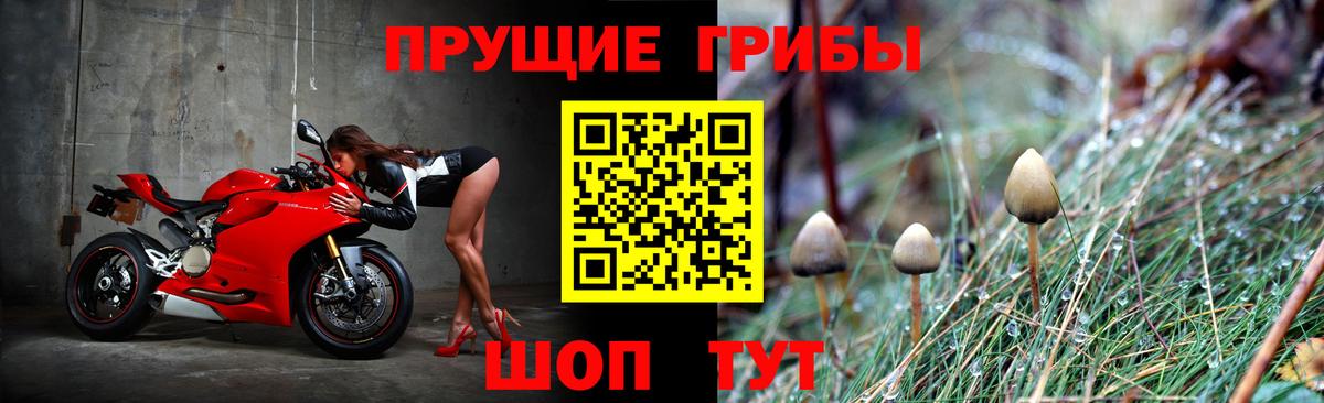 Галлюциногенные грибы Cubensis Десногорск